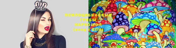 соль курить ск Медногорск