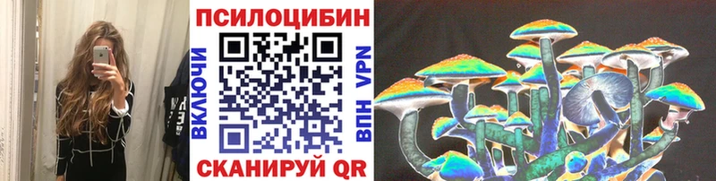 Купить закладки  Курлово  Галлюциногенные грибы Cubensis 